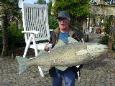 Forel vissen. 5