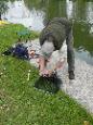 Forel vissen. 8