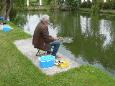 Forel vissen. 9