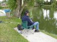 Forel vissen 12