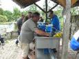 Forel vissen.JPG 23
