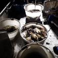 IMG-20190924-WA0010