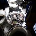 IMG-20190924-WA0011