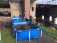IMG-20200314-WA0001