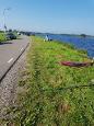 20210905_101032  open 6.jpg