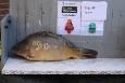 IMG-20220206-WA0003.jpg