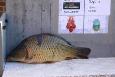 IMG-20220206-WA0004.jpg