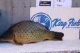 IMG-20220206-WA0007.jpg