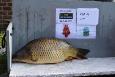 IMG-20220206-WA0008.jpg