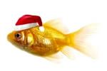 Kerstwedstrijd 2015