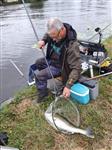 Uitslag nachtwedstrijd feeder Hengelsport Leiden.2019