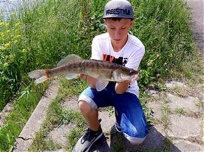 Snoekbaars